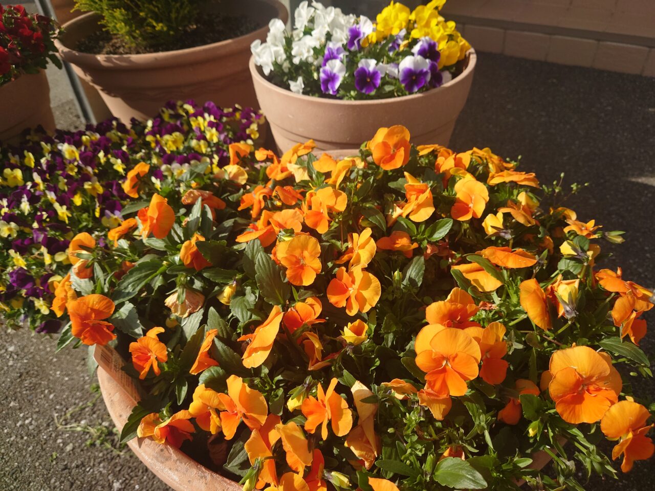 2026年５月の行事予定！