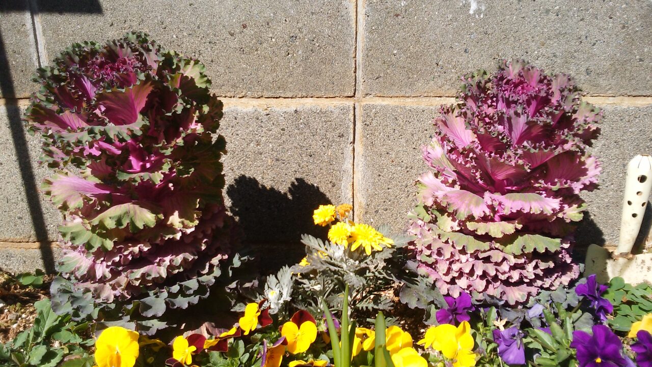 2026年2月の行事予定!